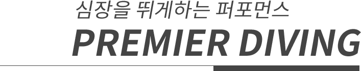 심장을 뛰게하는 퍼포먼스. PREMIER DIVING